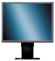 Nec MultiSync LCD2070NX RoHS (Silver front bezel, black back cabinet) (60001554)